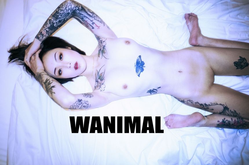 Ů () VIP WANIMALٷƷ ͼ ڹ [75P] P.1 